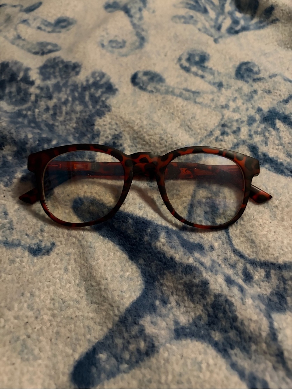 Fake glasses